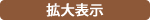 拡大表示ボタン